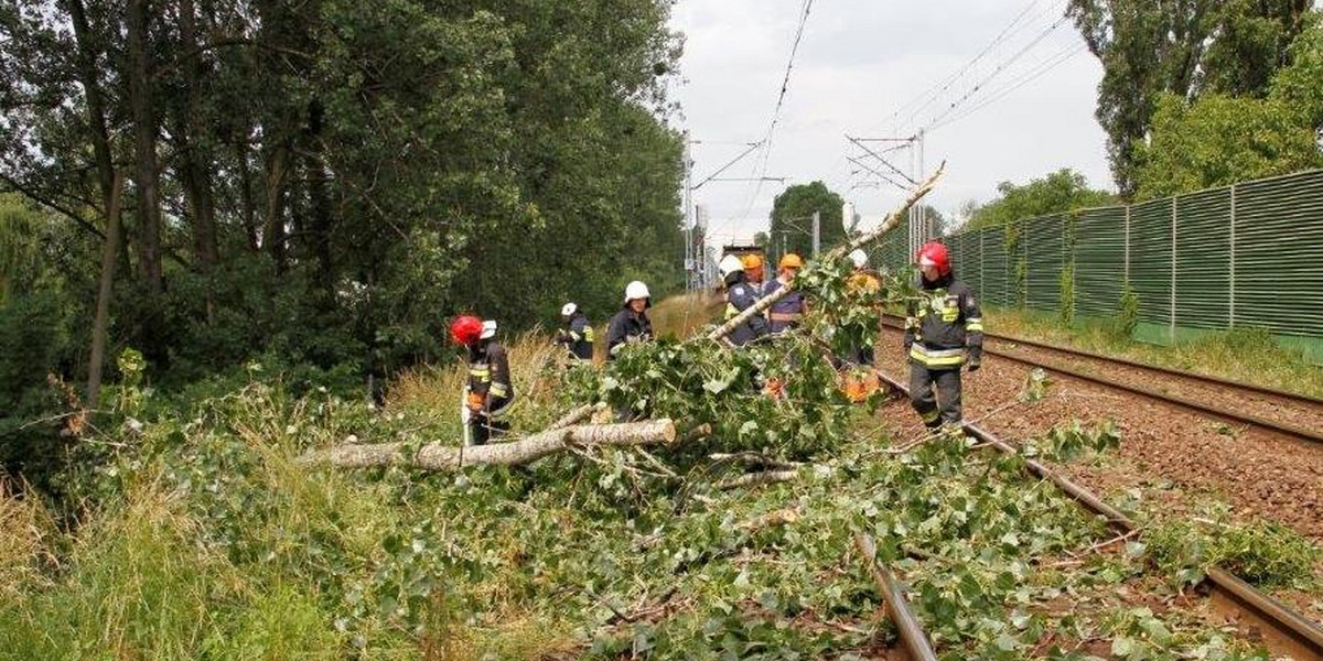 Skutki nawałnicy na Opolszczyźnie 