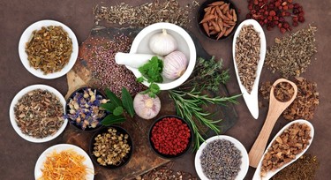 7 herbs women can take for  fertility boost