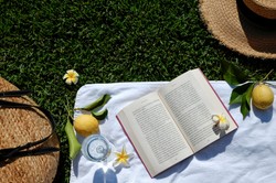 Arcytrudny QUIZ z literatury. Który bohater nie jest z tej książki? 15/15 tylko dla mistrzów