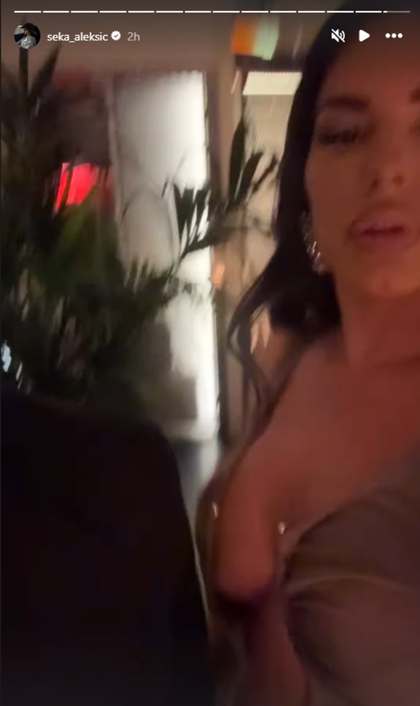 Seka Aleksić