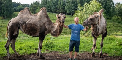 „Beduin” spod Olkusza. Pan Kazimierz wyhodował sobie osiem garbów i się cieszy