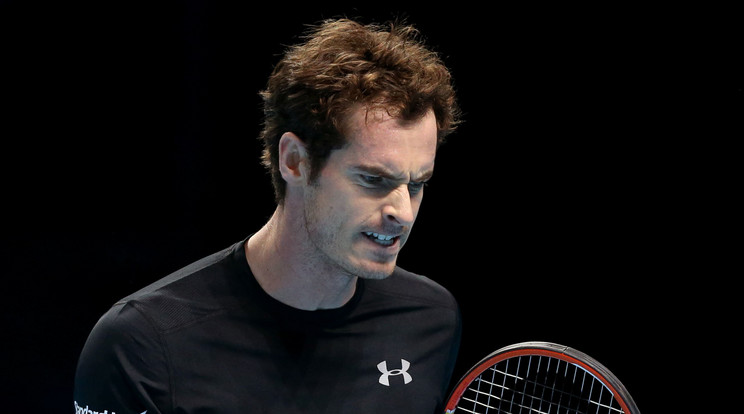 Andy Murray megnyerte a meccset /Fotó: Northfoto