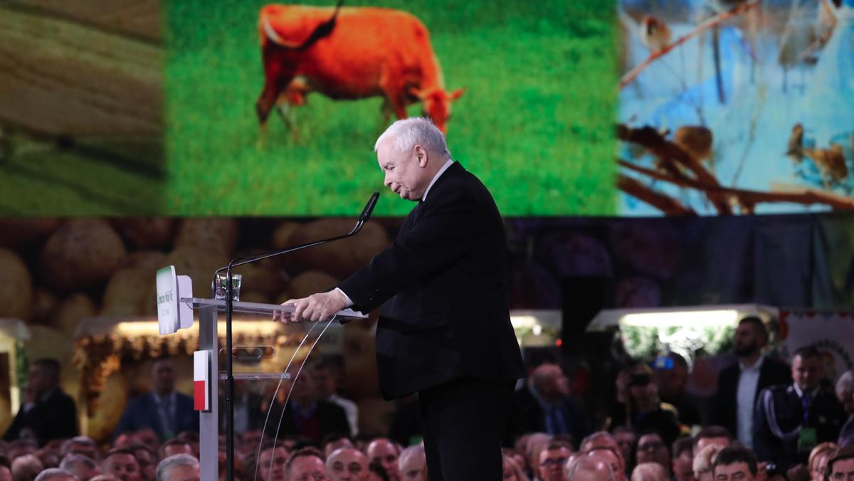 Prezes PiS Jarosław Kaczyński na Zgromadzeniu Wsi Polskiej, grudzień 2022 r.