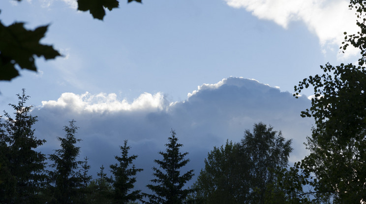 Csökken a hőmérséklet a jövő hétre / Fotó: Northfoto