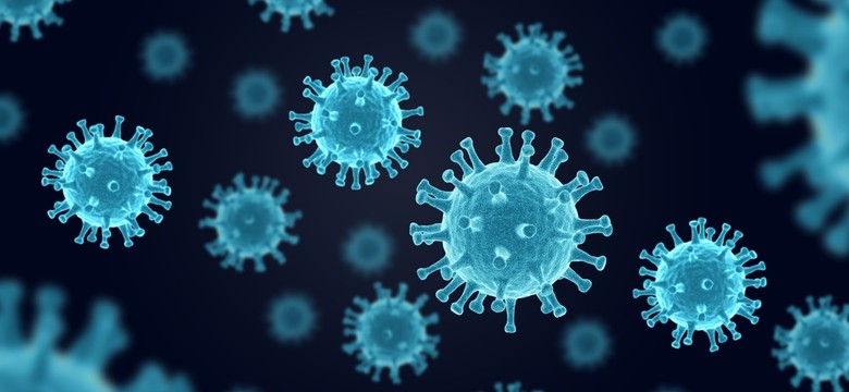 Zjadliwy wirus zaatakował w USA. WHO bije na alarm