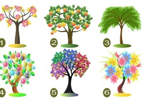 Drveće, test ličnosti