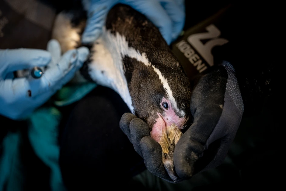 Virus nas je na vreme upozoravao