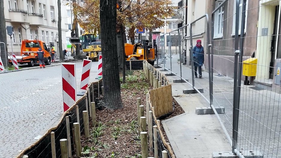 Nasadzenia zieleni na ul. Karwowskiego już prawie gotowe fot. ZDM Poznań