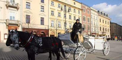 Absurd! Będę musiał skrócić dorożkę!