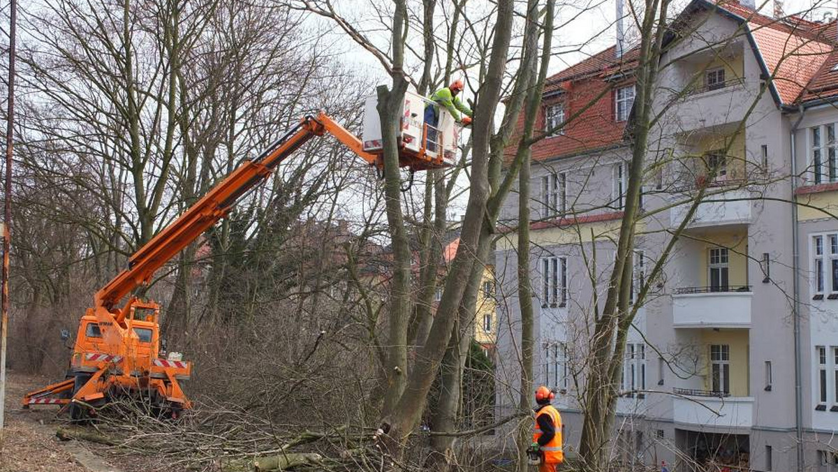 Kolej zleciła wycinkę około 400 drzew wzdłuż torów pomiędzy stacją Opole Główne, a Opole Zachodnie. Ludzie obawiają się, że to początek budowy trasy średnicowej.