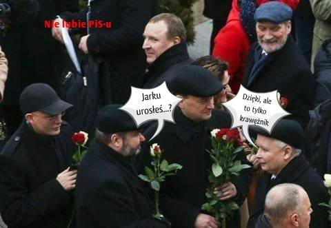 mem / Nie lubię PiS-u