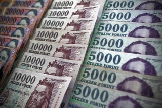 Węgierska nieortodoksja. Czy finansowe rozwiązania z Budapesztu przyjęłyby się w Polsce?