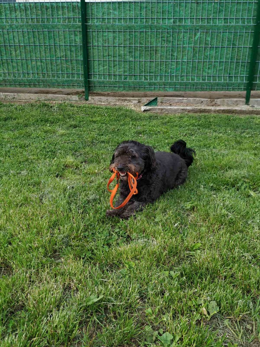 Bubica sa svojim omiljenim rekvizitom