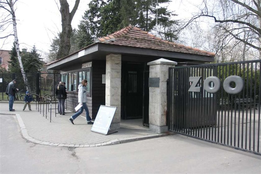 W zoo trują zwierzęta żyletkami