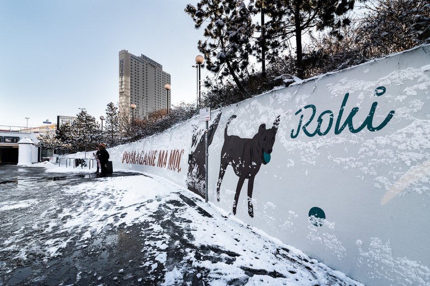 Rasowy Kundel. Charytatywny mural powstał w centrum Warszawy!