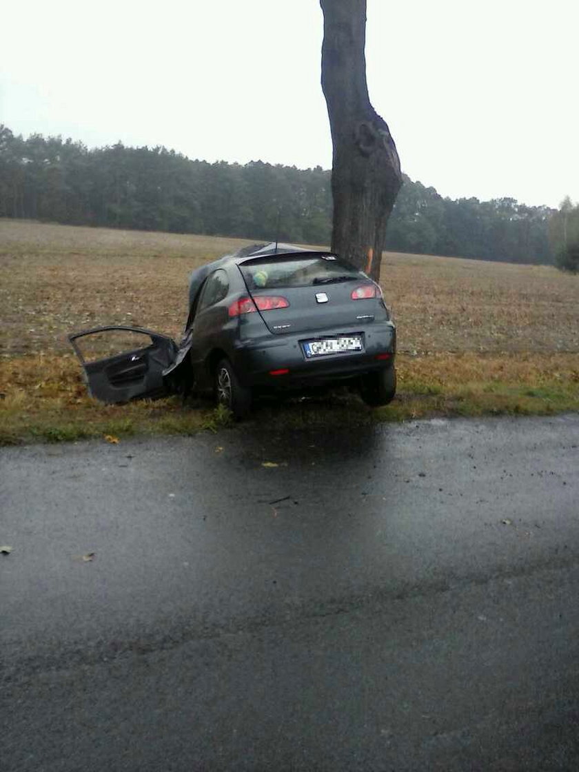 Nie przeżyła uderzenia w drzewo