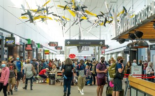 Niemcy ukarani? Areszty i deportacje na porządku dziennym