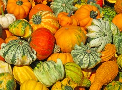 Dynia na Wielkanoc? To świetny pomysł!