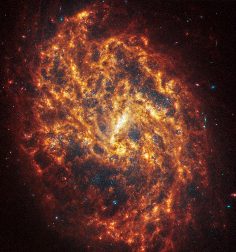Galaktyka NGC 1087