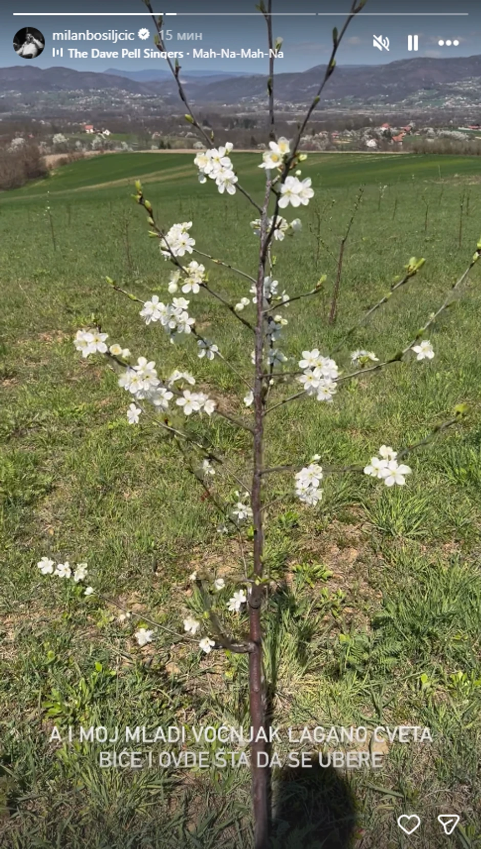 Milan Bosiljčić pokazao deo imanja