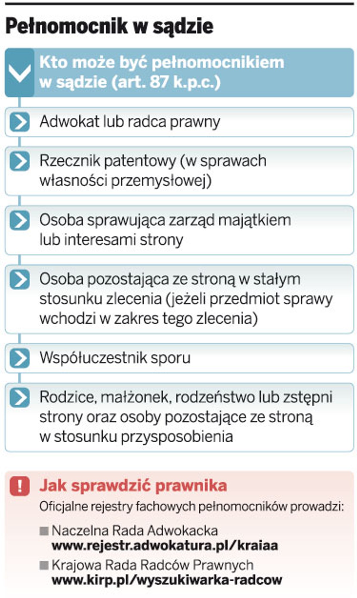 Pełnomocnik w sądzie