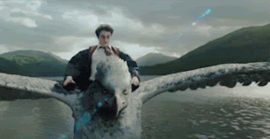 Nem egy, hanem KÉT Harry Potter is van!