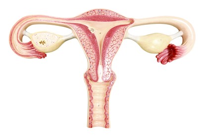 Kiderült, mi okozza pontosan a PCOS-t - Így lehet kezelni