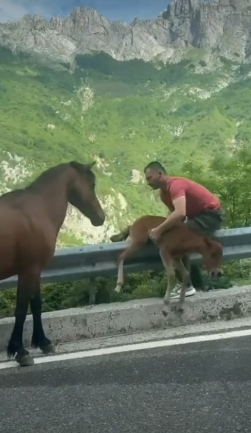 Gest humanosti koji je oduševio ljude širom Balkana