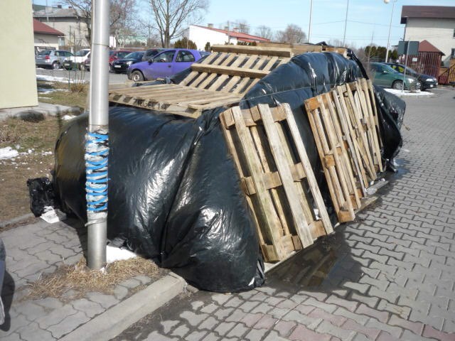 Fot. straż miejska