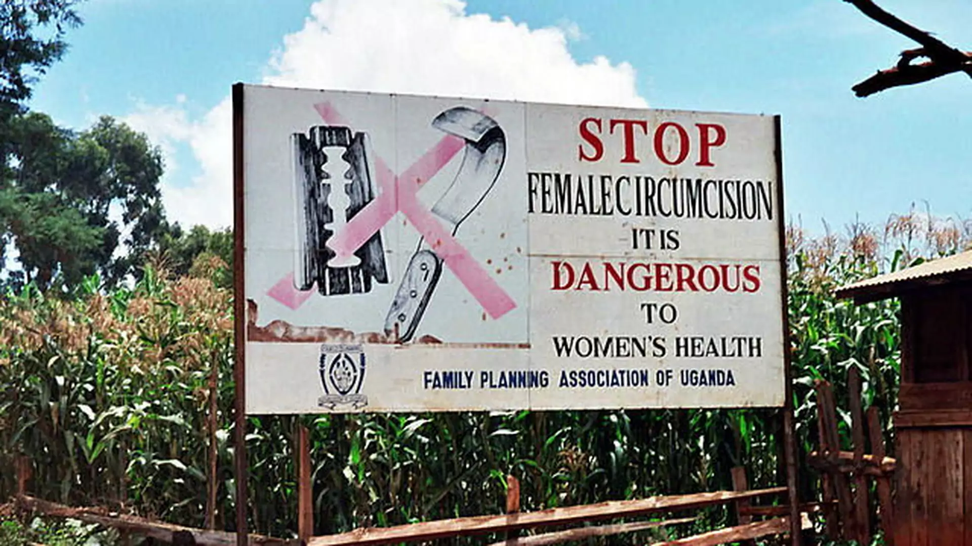 Kraj z jednym z najwyższych wskaźników obrzezania kobiet zabrania tego procederu. Prezydent Gambii przeciw okaleczaniu kobiet