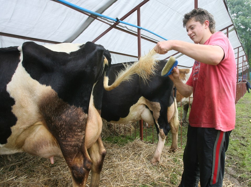 NAWOJOWA WYSTAWA ROLNICZA AGROPROMOCJA 2010