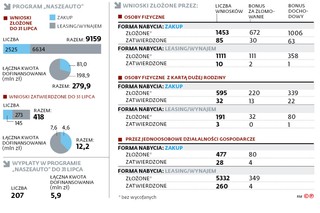 Program „NaszEauto”