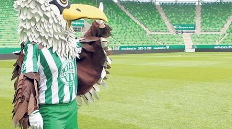 Ezért kellett repülnie a Ferencváros kabalaállatának