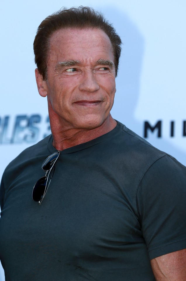 Arnold Schwarzenegger