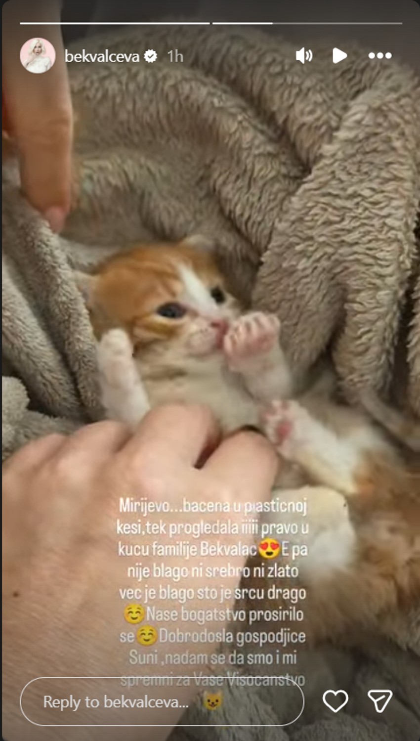 Nataša Bekvalac udomila macu