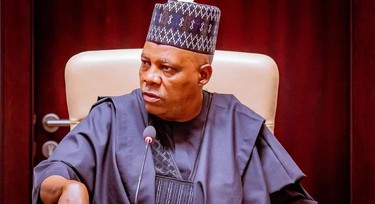 Shettima on FG policies: 'We feel the pain of the poor, but have no option'