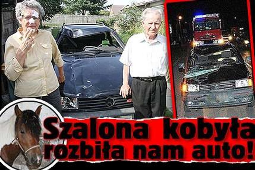 Szalona kobyła rozbiła nam auto!