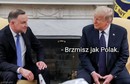 Andrzej Duda odwiedził Donalda Trumpa. Te memy to hit sieci