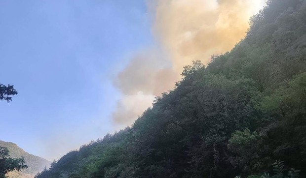 Požar uz Ibarsku magistralu kod Magliča