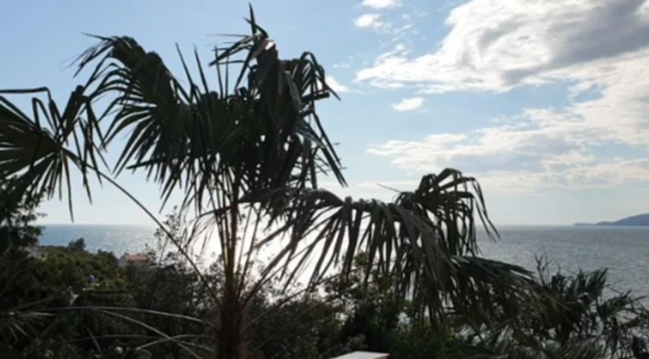 Vila Ristovskog na moru