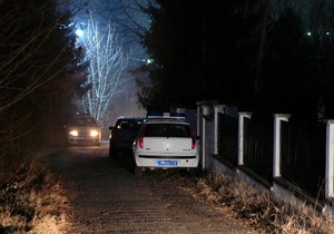 hronika tresnja 02 foto P Markovic