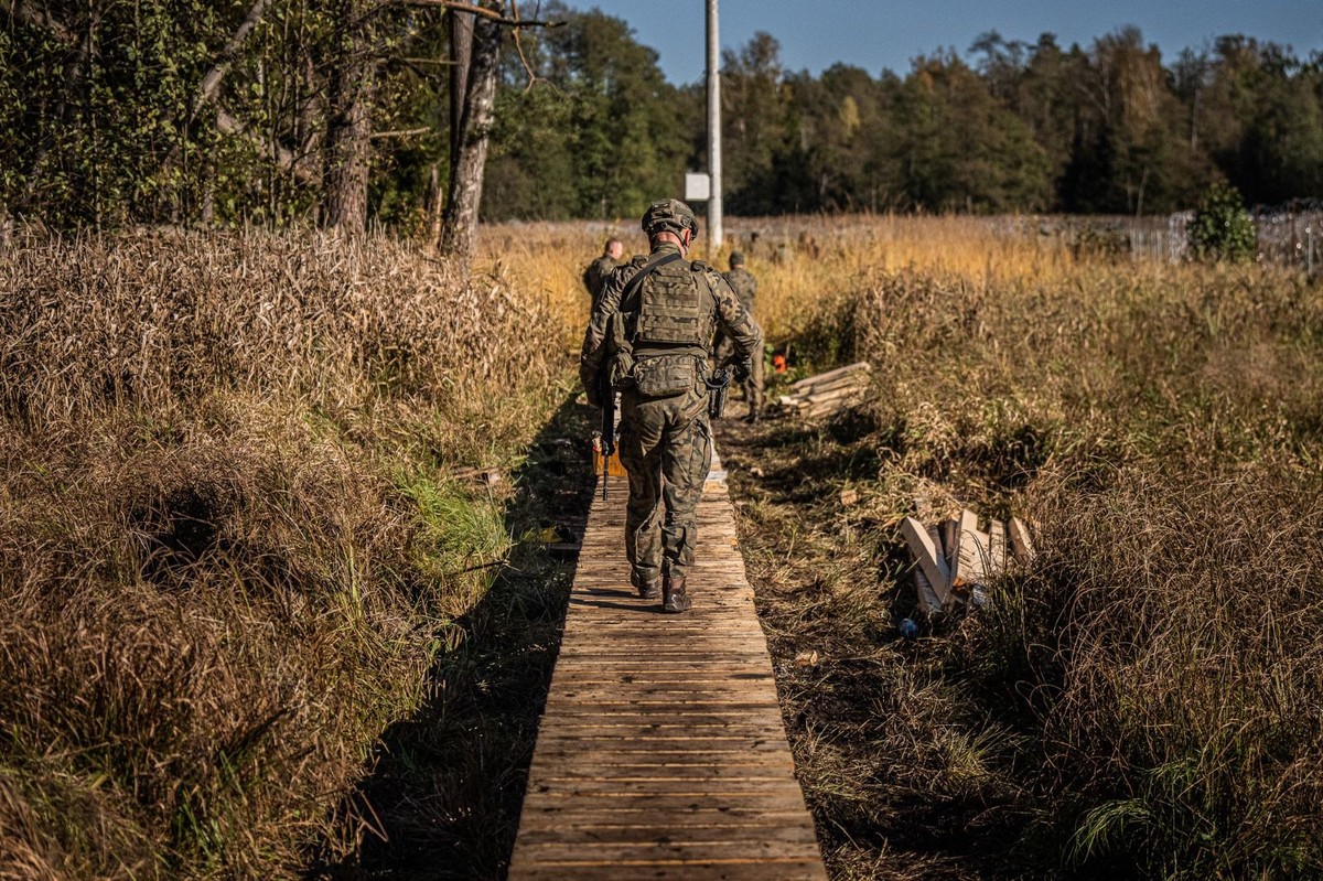 Obce wojska utopią się w polskich bagnach. MON finalizuje plan