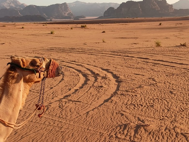 Wadi Rum Jordania