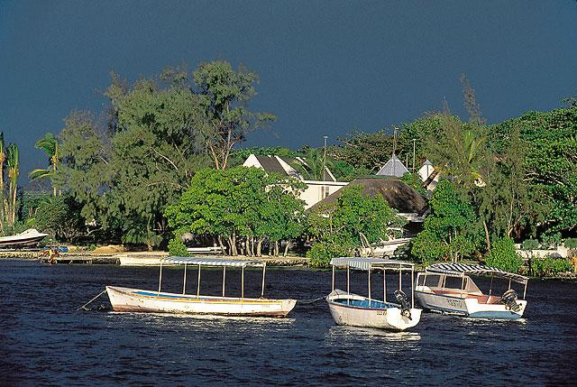 Galeria Mauritius - egzotyczna mieszanka, obrazek 24