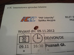 Piekło w wagonie PKP. Pasażera zaatakowały pluskwy! Zrobił im ZDJĘCIA