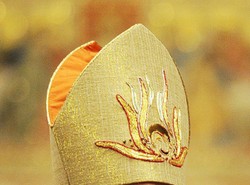 "Biskupi do mycia nóg! A nie do purpury!"