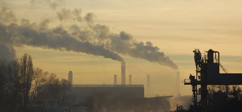 Koniec wzrostu emisji CO2 w 2024 r.? Dobre prognozy i szczególna rola Polski