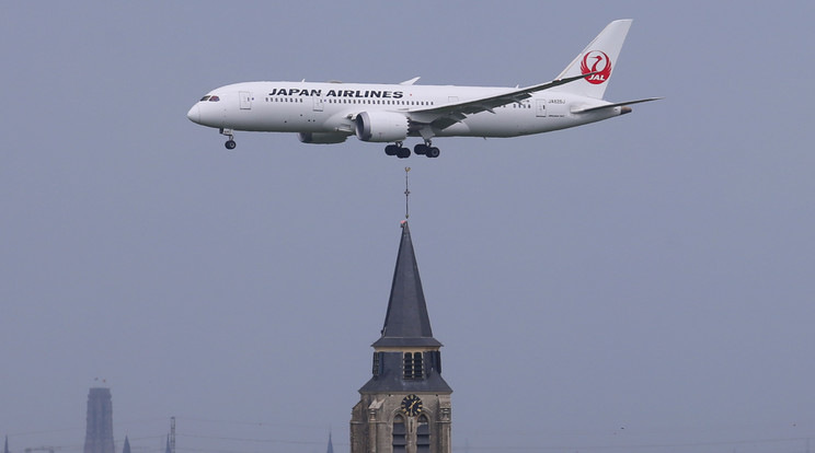 Elég szegényes a japán légitársaság vegán menüje / Fotó: Northfoto