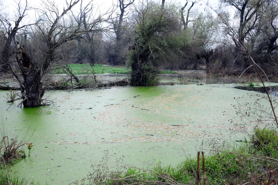 Nesnosna isparenja stižu i sa reka