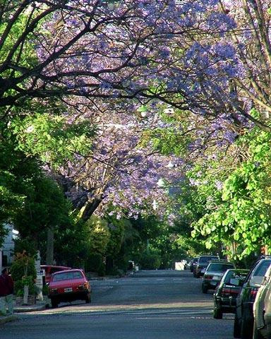 Galeria Argentyna - Listopadowe Buenos Aires, obrazek 80